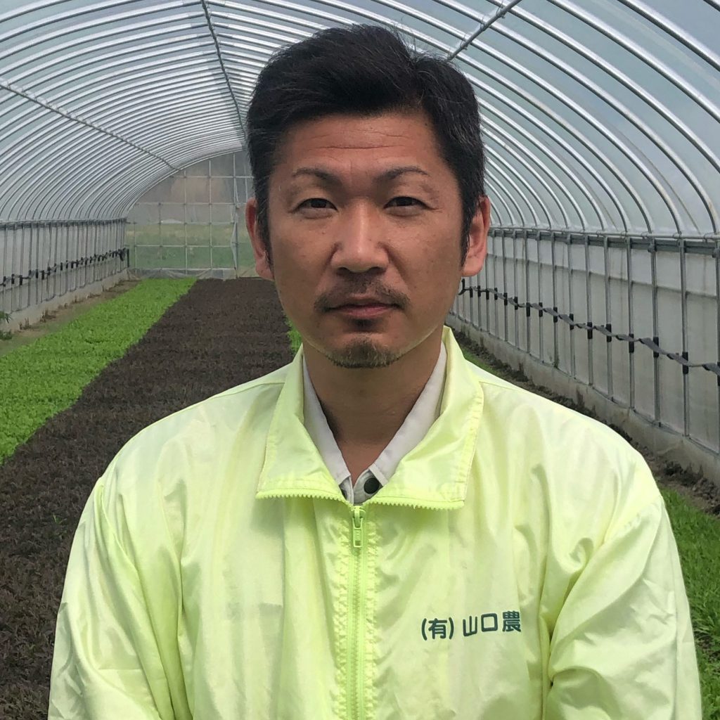 スタッフ紹介 野菜の生産・加工・販売そして農業を学ぶ訓練学校を行っております